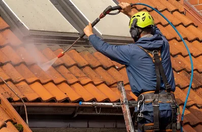 Démoussage et hydrofuge de toiture à Cartelègue
